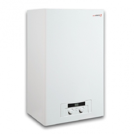 Котлы газовые двухконтурные, турбо Protherm Рысь